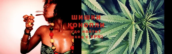 ГАЛЛЮЦИНОГЕННЫЕ ГРИБЫ Горнозаводск