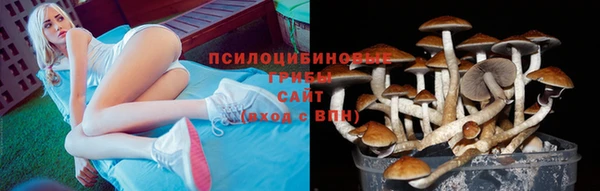 гидра Осташков