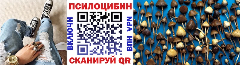 Галлюциногенные грибы Psilocybe  закладка  Егорьевск 